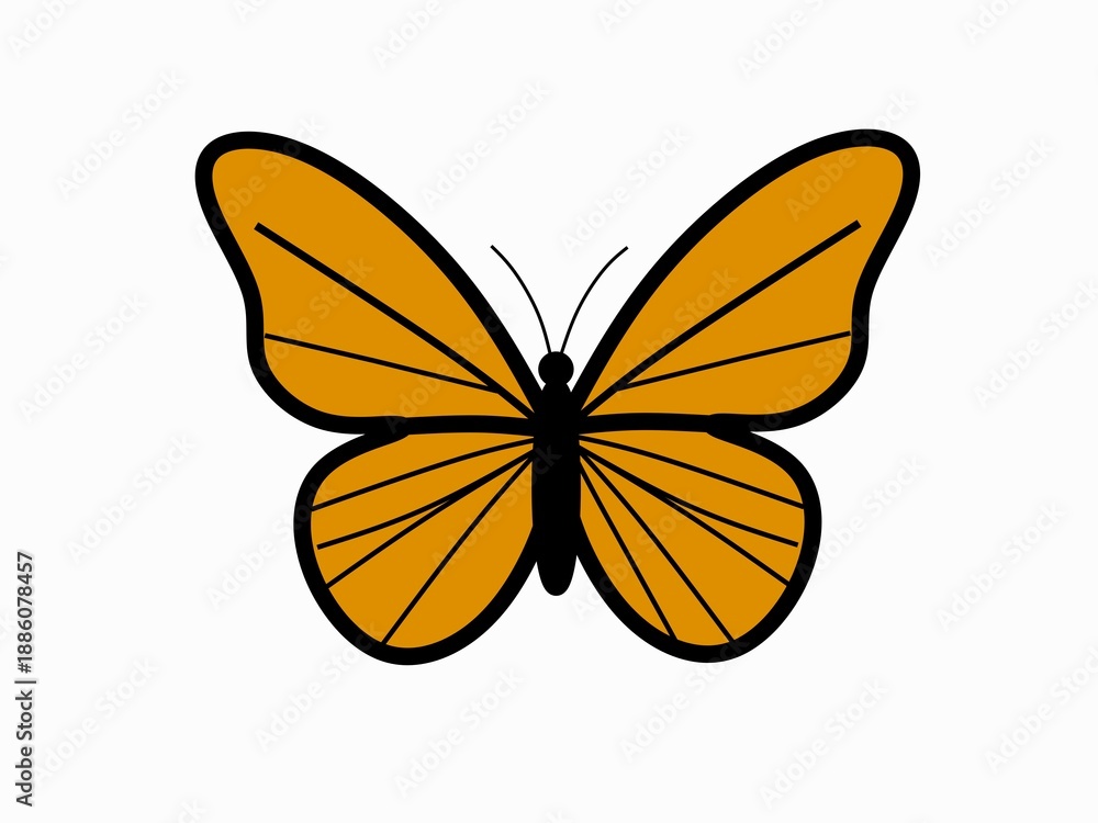 Obraz premium butterfly isolated on white