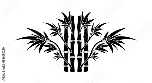 Bamboo plants in a bold and intricate graphic style  