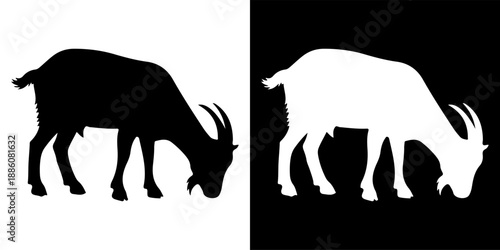 Silhouette of a goat grazing on a white and black background.