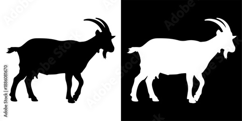 Silhouette of a Goat in Black and White.