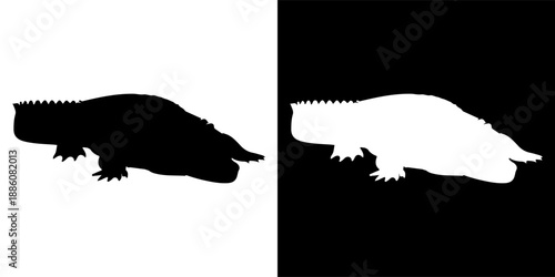 Silhouette of a Komodo Dragon on white and black background.