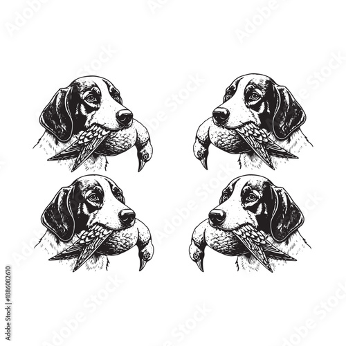Hunting Dog Head with Pheasant Vector Illustration Set
