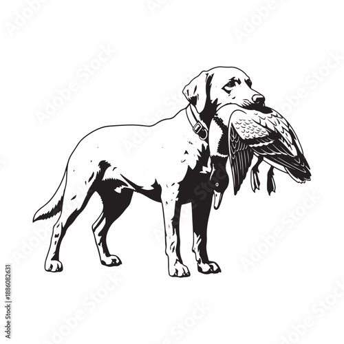 Dog Retrieving Bird Vector Illustration on White Background