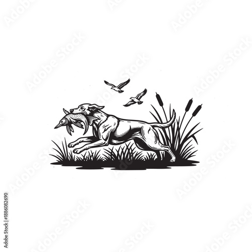 Dog Retrieving Fish Vintage Illustration - Black and White