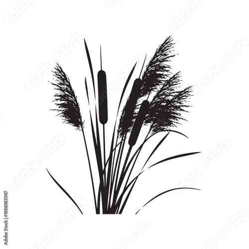 Cattail Silhouette Illustration on White Background - Vector