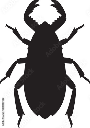 Giant Water Bug Silhouette on White Background
