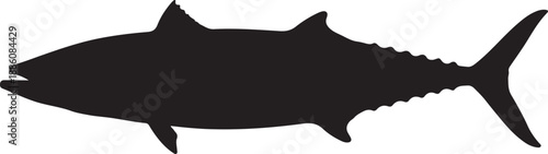 King Mackerel Silhouette on White Background
