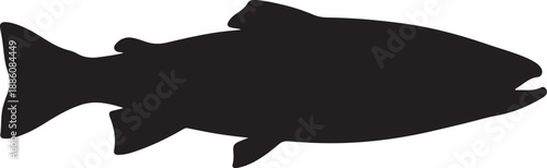Lake Trout Silhouette on White Background