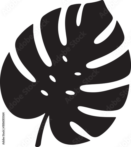 Monstera Leaf Silhouette on White Background