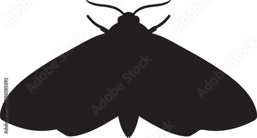 Moth Silhouette on White Background