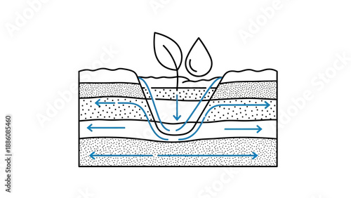 Diagram of a green plant root.