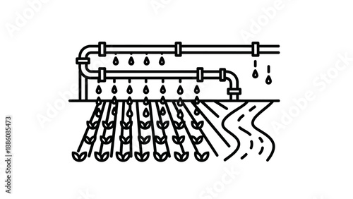 Irrigation system with multiple sprinklers watering.