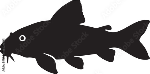 Otocinclus Silhouette on White Background