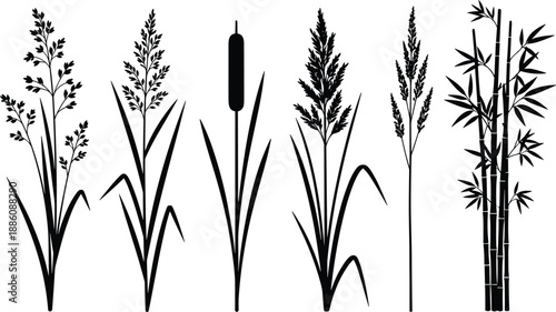 Black silhouette vector collection, forest trees, marine coral reef, tropical leaves, meadow grass, medieval swords, daggers, fantasy weapons, organic nature elements,
