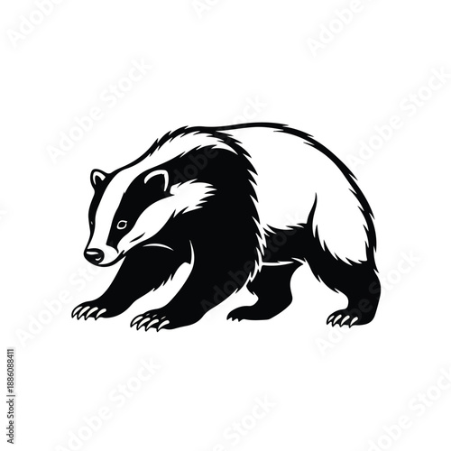 A striking black and white vector illustration of a badger, featuring its distinctive striped face and powerful build in a stylized graphic design.