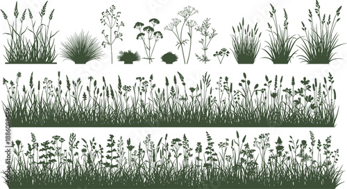 Black silhouette vector collection, forest trees, palm trees, meadow grass, garden flowers, tropical leaves, wild plants, organic botanical elements, nature,