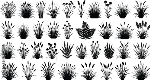 Collection of black botanical silhouettes featuring meadow grass borders, various shrubs, ornamental plants, forest ferns, and wildflower icons on white background.
