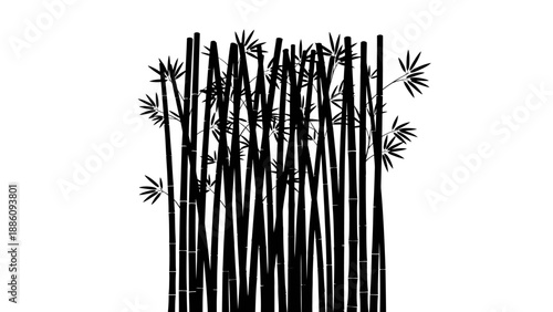Black and white illustration of bamboo stalks and leaves on white background.