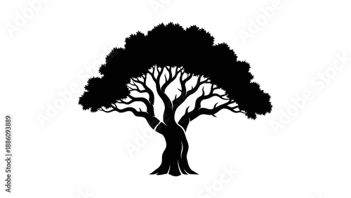 Silhouette of a majestic tree with intricate branches and lush foliage.