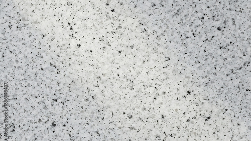 Close up of a White Speckled Texture with Black Flecks and Natural Stone Pattern