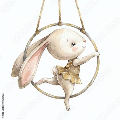 The circus bunny