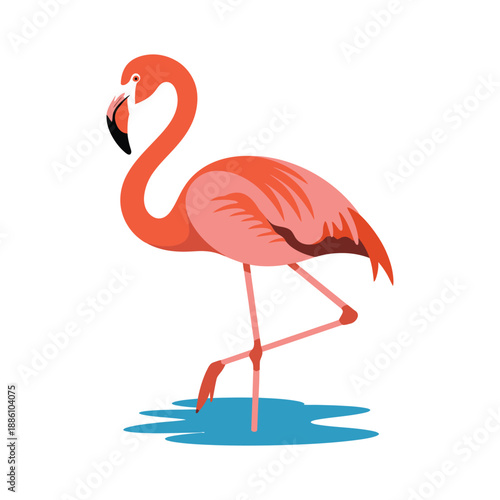 Pink flamingo bird stands gracefully on one leg in shallow blue water.