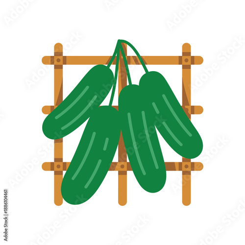 Four fresh cucumbers hang ripened from a wooden garden trellis support.