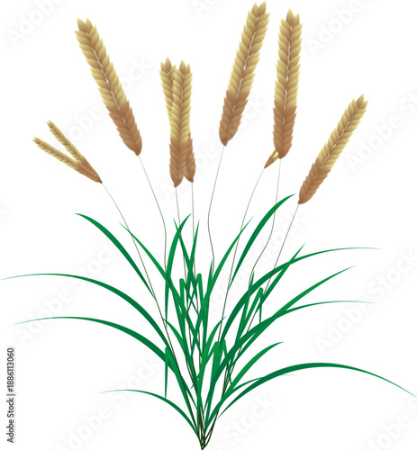 Illustration of a weed growing naturally, symbolizing resilience and untamed plant life in nature.
