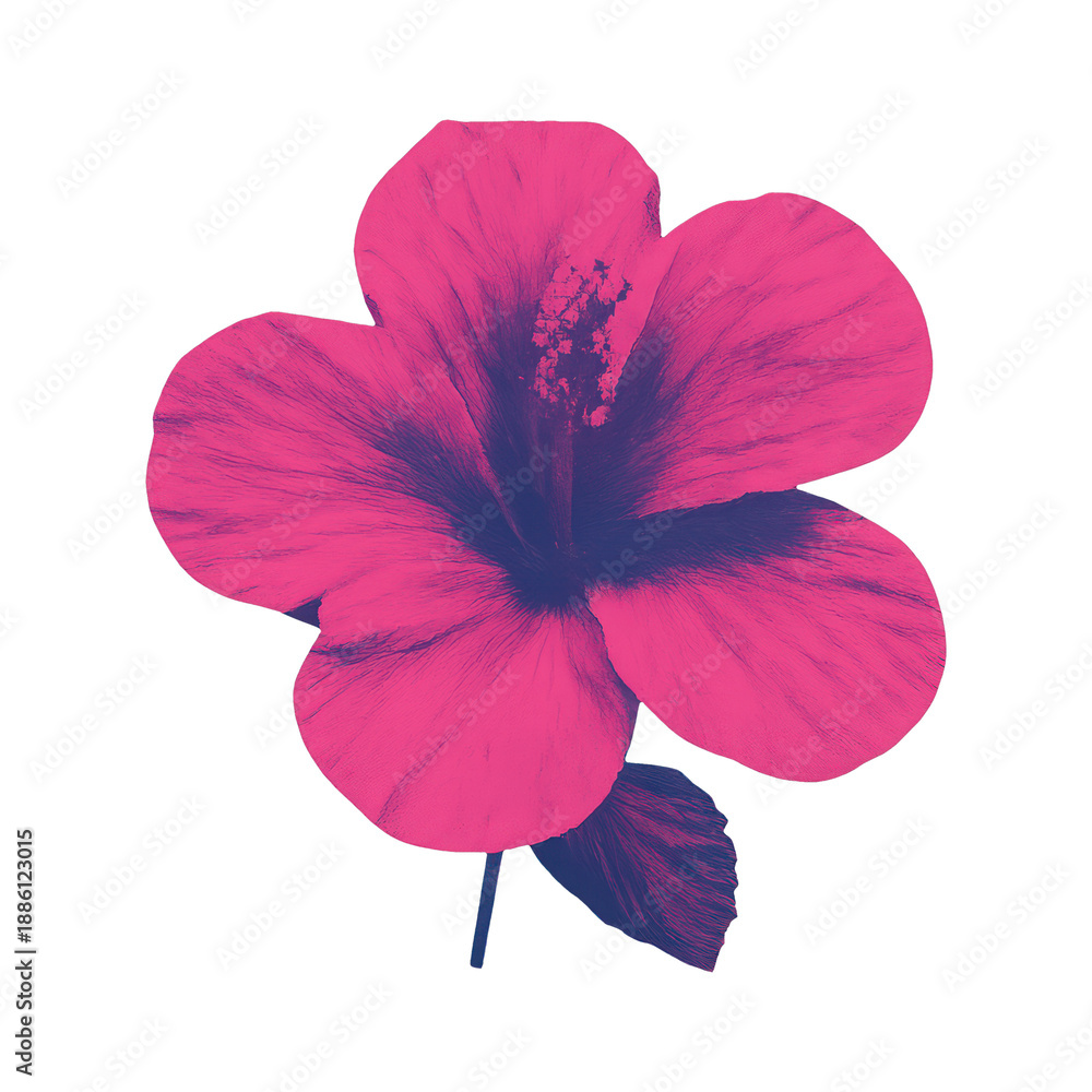 Naklejka premium PNG Vibrant pink hibiscus illustration