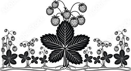Elegant botanical vector illustration of wild strawberry plants with ripe berries, detailed leaves, natural runners, intricate garden foliage, perfect for decorative design and nature themes