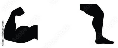 Brain nervous system cerebrum mind intelligence anatomy organ medical healthcare memory