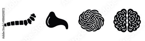 Caterpillar worm parasite insect bug larva segmented body invertebrate creepy crawly wildlife