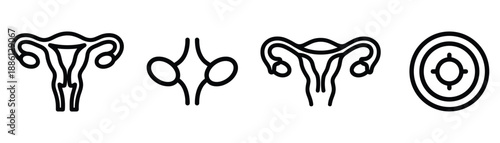 Female reproductive system icon set uterus ovary womb tube vector illustration simple design