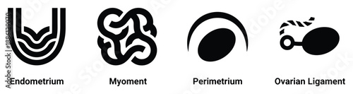 Female reproductive system icons set with uterus endometrium myoment perimetrium ovarian ligament