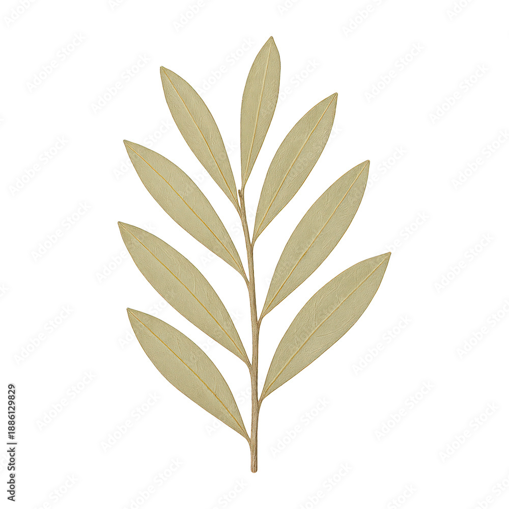 Obraz premium PNG Elegant golden leaf illustration
