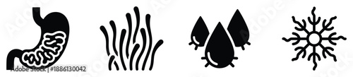 Internal human organs icon sign as stomach intestine algae and snowflake medical concept set