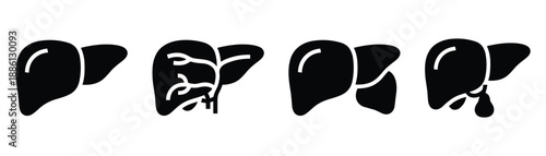 Liver anatomy and structure with blood vessels and gallbladder for human body system medical diagram