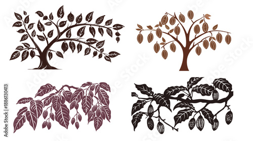 Cocoa tree with pod-shaped fruits silhouette illustration