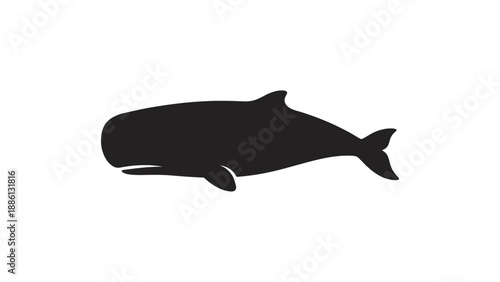 A black silhouette of a whale against a white background