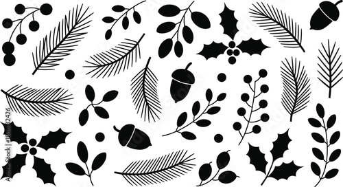 Christmas winter botanical elements set featuring pine branches holly leaves berries acorns festive nature silhouettes illustration