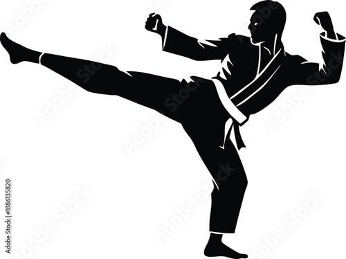 Martial Artist, Karate Kick Silhouette