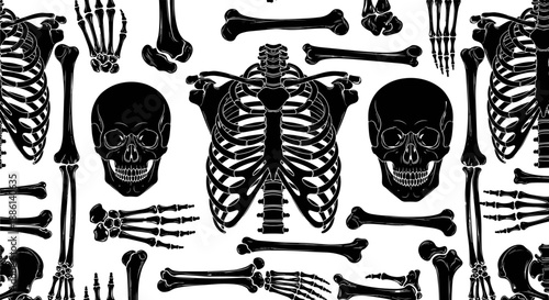 Detailed human skeleton anatomy illustration set featuring skull, rib cage, and bones, black medical silhouettes isolated on white background for education, science, and design use