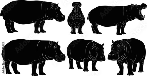Hippopotamus silhouette set featuring multiple hippo poses including standing walking and roaring isolated on white background black vector illustration African wildlife animal design