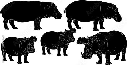 Hippopotamus silhouette collection featuring walking and roaring hippos isolated on white background black vector illustration wildlife animal set African river mammal design