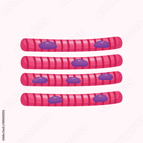 A medical illustration showing striated muscle tissue structure related to movement and muscular system function.