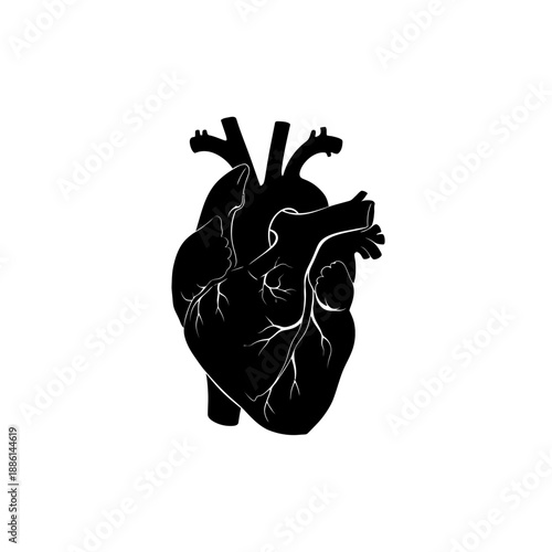 A stark black silhouette of a human heart with visible vascular structures