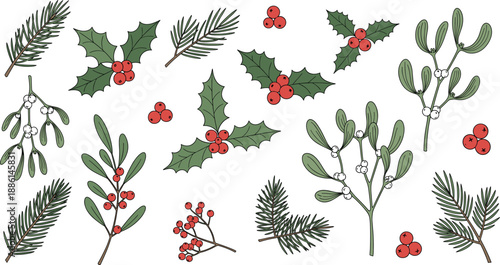 Large vector set of Christmas greenery including holly leaves red berries pine branches and mistletoe for holiday floral design.