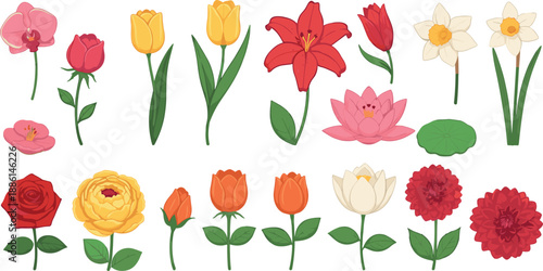 Colorful flower vector set with roses, tulips, lilies, orchids and daffodils in blooming styles