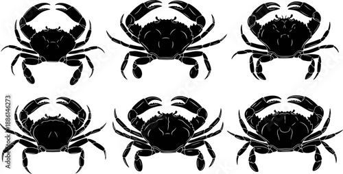 Collection of various crab silhouettes showing claws and shell detail, representing different marine crustacean species, underwater sea life vector illustration set
