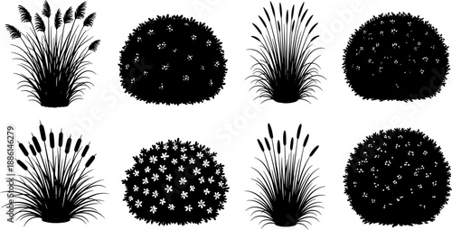 Collection of various decorative garden shrub, bush, and ornamental grass silhouettes, featuring cattails and flowers, nature landscape vector illustration set